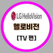 [LG HelloVision] 볼거리가 너무 많아 즐거운 헬로TV/ 내삶을 스마트하게 만들어 주는 헬로 tv//인터넷가입은 기가몬스터에서~