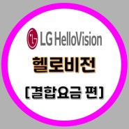 [LG HelloVision] 저렴한 요금으로 인터넷과티비사용하는법/ SK/KT/LG휴대폰결합가능//인터넷가입은 기가몬스터에서~
