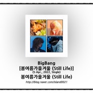 BigBang - [봄여름가을겨울 (Still Life)] - 봄여름가을겨울 (Still Life)