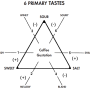 Sensory study(3) - Gustation