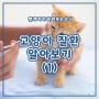 [펫긱X펫케어] 고양이 질환 알아보기(1)