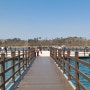 속초 여행 산책하기 좋은 곳 자연 호수 위를 걷는 영랑호 부교