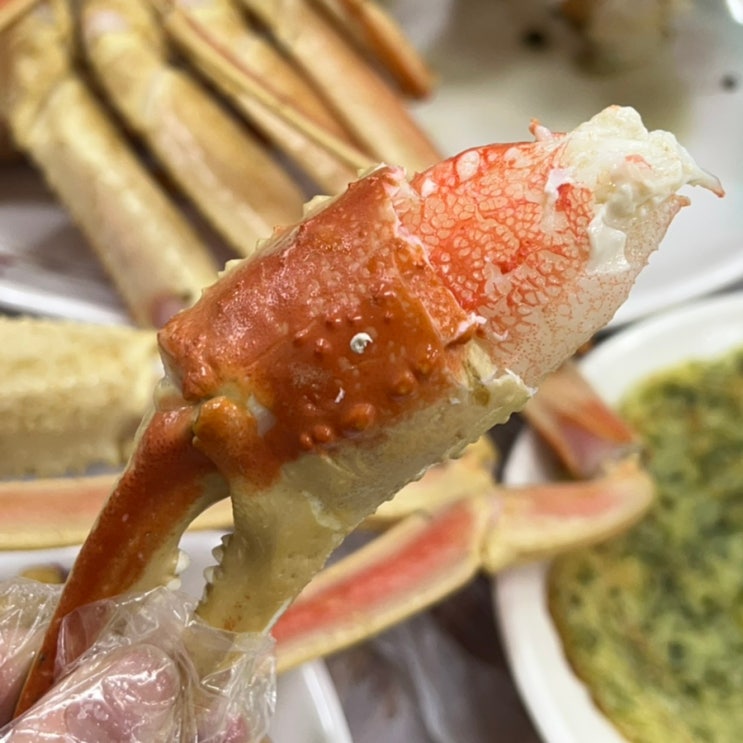 기장 총각대게 수율 90%이상 큼직하고 살이 꽉찬 기장시장 대게 맛집 가격 : 네이버 블로그