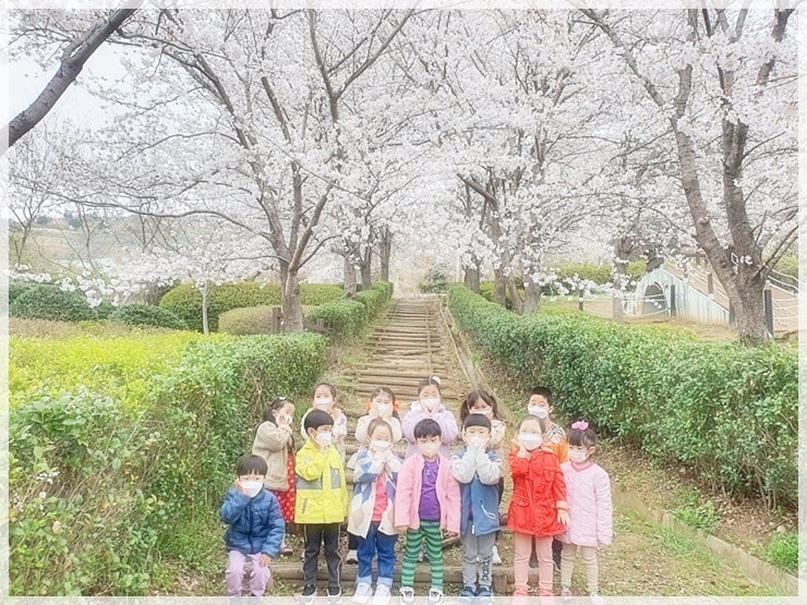 금병공원 벚꽃 구경 나들이 다녀온 행복한 날
