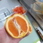 세상의 식재료. 카라카라 오렌지