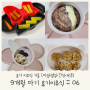 후기이유식 :: 야채핑거푸드/소고기우엉양배추치즈진밥/블루베리요거트오트밀/치킨야채밥전