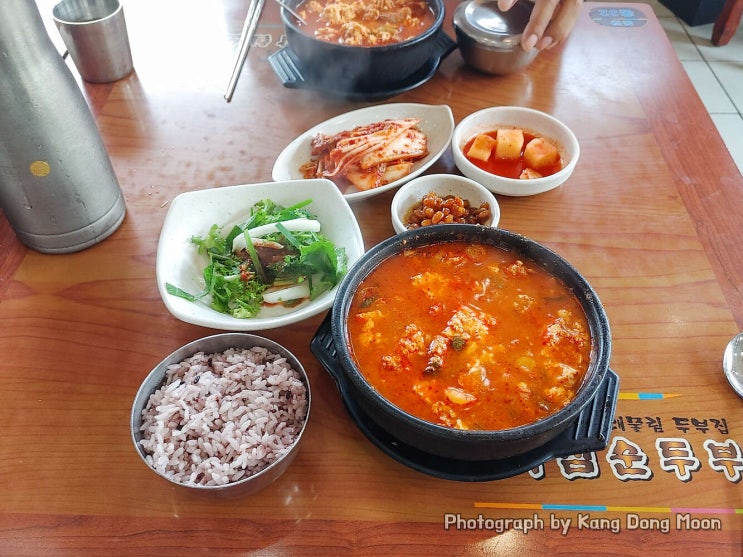 전북 완주 맛집 원조 화심순두부 본점 순두부찌개