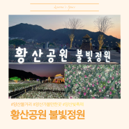 양산볼거리 양산황산공원 불빛정원 운영시간과 주차장 다녀온 후기