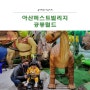 아산 퍼스트빌리지 아이랑 가볼 만한 곳 공룡 월드