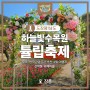 [도장꽝남도] 하늘빛수목원 튤립축제 (feat.한국관광공사 추천 4월 여행지 선학동 유채마을)