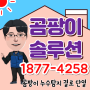 세종곰팡이제거, 대전곰팡이업체(유성구 대덕구)벽면 결로 방지