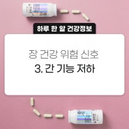 [하루 한 알 건강 정보] 장건강과 간건강이 연관되어 있다구요?