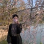 4월 8일 분당 중앙공원 벚꽃 만개 +포토존