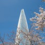 서울 벚꽃의 명소 - 잠실 석촌호수 벚꽃길