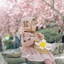 순천 선암사 겹벚꽃 명소 개화시기 4월 아기와 함께
