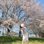 대전 벚꽃 나들이, 현대아울렛 봄 이벤트까지 참여