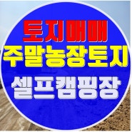 대구테크노폴리스 주말농장토지매매 달창지5분거리 자연녹지토지매매