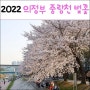 2022 의정부 벚꽃 명소 중랑천 벚꽃 개화상황 주말이 절정일듯~