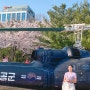 서울 벚꽃 보라매공원 전 공군사관학교 전투기+벚꽃뷰