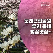 [영등포SNS구정홍보단] 우리동네 벚꽃명소 문래근린공원