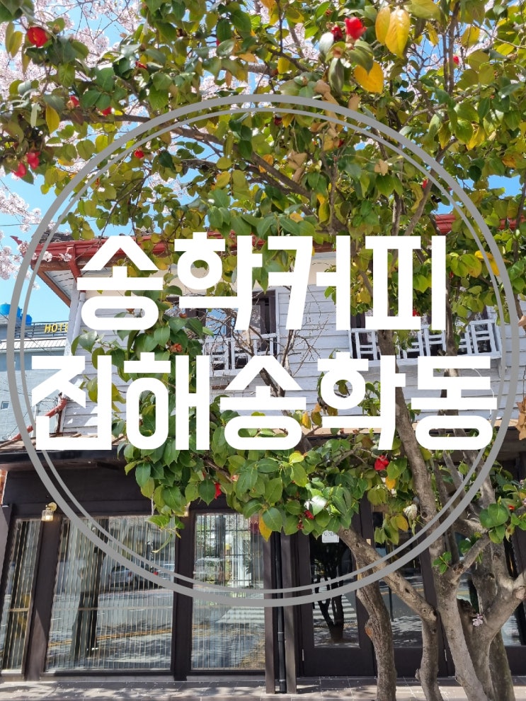 군항제카페 벚꽃뷰 송학커피