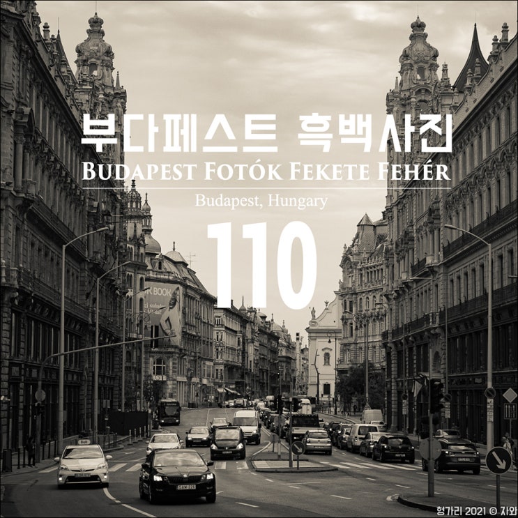 [2021 헝가리] #110. 부다페스트 흑백 사진(Budapest Fotók Fekete Fehér), 헝....