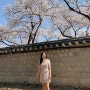 벚꽃 축제에 입고 갈 나의 봄 패션 룩북을 사진과 함께 소개해 주세요~