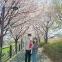동탄 벚꽃명소 :: 여울공원에서 오산천 벚꽃 구경하기