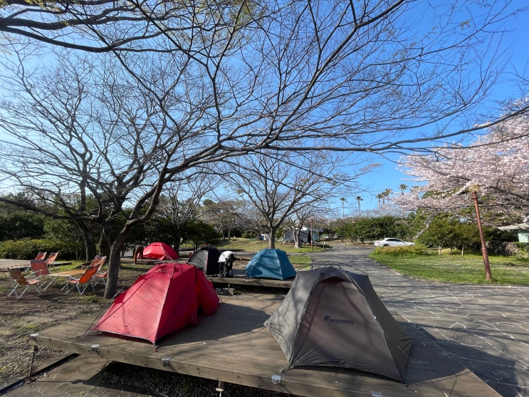 제주도 제주올레 8코스 야영/백패킹, 일촌클래식으로 걷는 제주올레는 진리