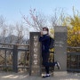 초보자도 쉽게 갈 수 있는 인왕산 등산(연희김밥/체부동잔치집/해방촌필리스)
