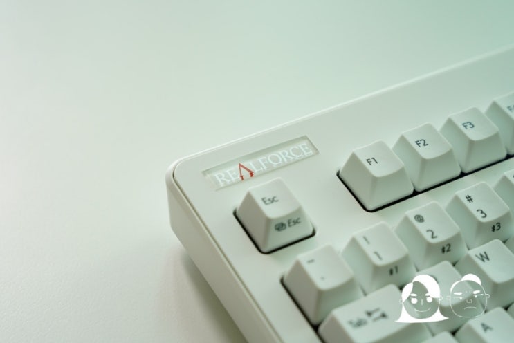 리얼포스 R3 R3HD21 - REAL FORCE R3 TKL 45g 리뷰(R2와 비교) : 네이버 블로그