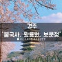 [여행; 경주 여행 코스 / 벚꽃으로 유명한 불국사, 황룡원, 보문정]