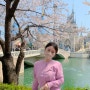 서울 벚꽃명소 : 잠실 석촌호수, 서울남산타워, 남산 돈까스