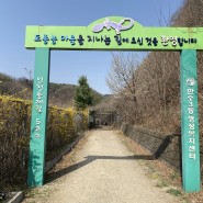 만수산 인천 둘레길 5코스 도롱뇽 마을