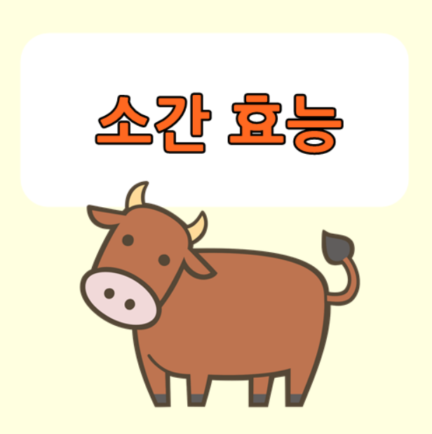 소간 효능 소생간 기생충 주의해야 하는 이유 : 네이버 블로그