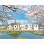 경북 문경 벚꽃명소 소야벚꽃길~~