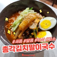 [두베 레시피] 시아버지 김치로 만드는 총각김치말이국수🍚