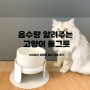 바램펫 웰리 : 똑똑한 고양이(강아지) 물그릇(수반/음수대/식기) 실시간 음수량 알림이 온다냥~! 사용 찐후기