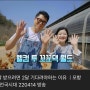 인기폭발 달걀 영덕 꼬꼬댁 부부의 비결은? Feat. 포항mbc