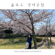 [부산] 을숙도 생태공원에서 벚꽃 데이트