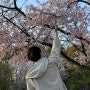 [인천대공원] 벚꽃 데이트 :: 포토존 추천