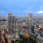 일본여행 중 2번이나 갔던 도쿄도청 45층 전망대, 그리고 후지산