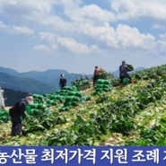 "태백시, 농산물 최저가격 지원조례 제정 눈길"