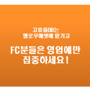 [공지] 보험FC 채용공고 및 온라인보험DB 스스로 만드는 법 PDF 전자책을 선물로 드립니다.