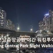 Bundang Central Park Night Walking Tour Seongnam-si, Gyeonggi-do 경기도 성남시 분당중앙공원 야간 워킹투어 220327