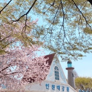 인천대공원에서 가족들과 벚꽃구경, 봄 만끽하기 :)
