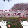 [안산/안산도시자연공원]코스소개,주요명소,안산정보/(서대문,독립문역)/등산,안산자락길,안산봉수대,메타세쿼이아숲,연희숲속쉼터,안산허브원,무악정,안산정상,벚꽃길