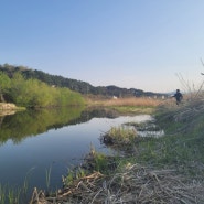 강릉붕어낚시-사천수로!