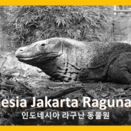 Indonesia Jakarta Ragunan Zoo 인도네시아 자카르타 라구난 동물원 190212