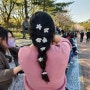 인천대공원 벚꽃, 봄처녀 제 오시네, 봄사람들